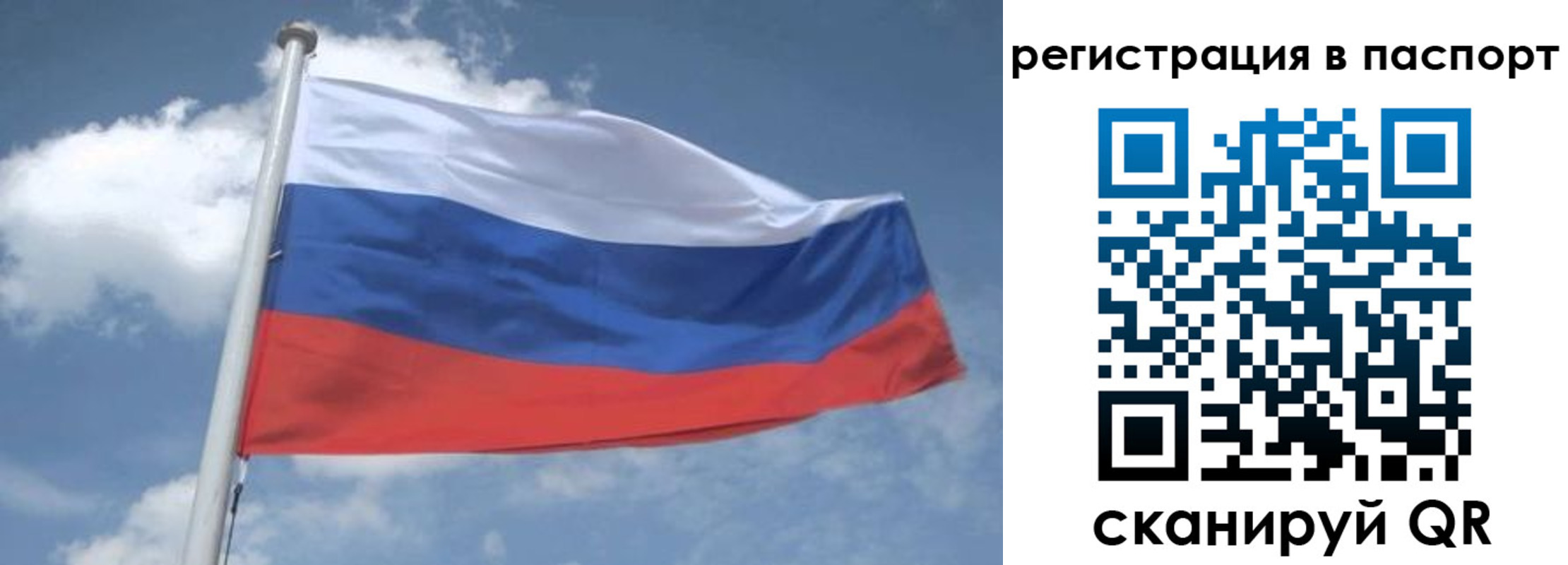 временная регистрация надежно в Туле